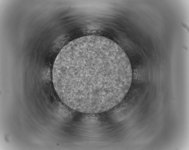 X0000096210820200802011319