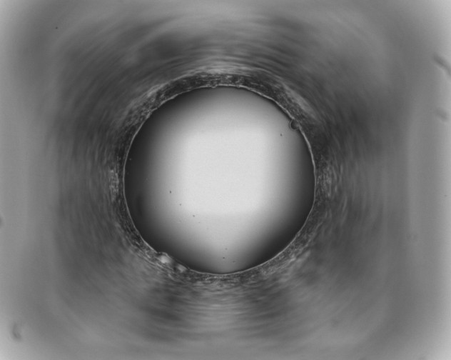 X0000096210821200802011319