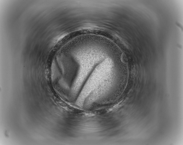 X0000096210822200802011319