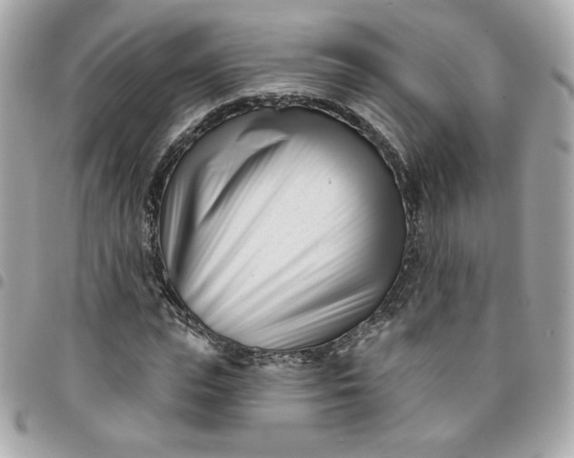 X0000096210823200802011319