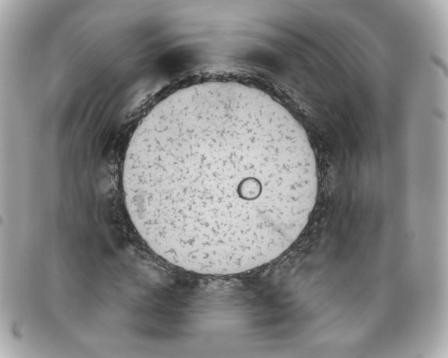 X0000096210824200802011319