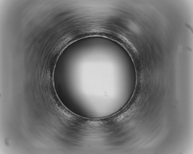 X0000096210825200802011319