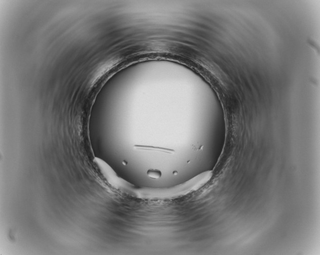 X0000096210826200802011319