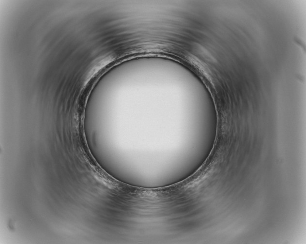 X0000096210827200802011319