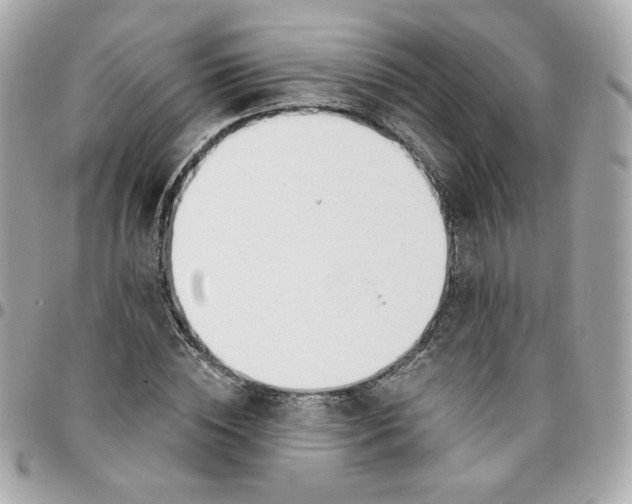 X0000096210828200802011319