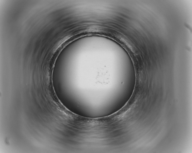 X0000096210829200802011319