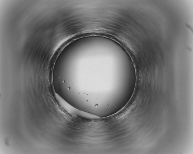 X0000096210830200802011319