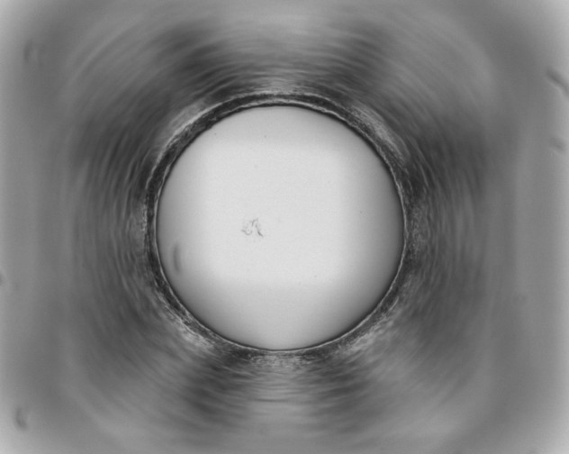 X0000096210831200802011319