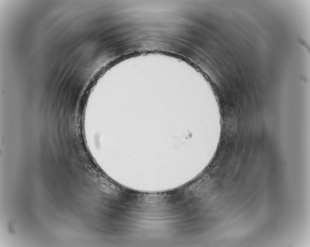 X0000096210832200802011319