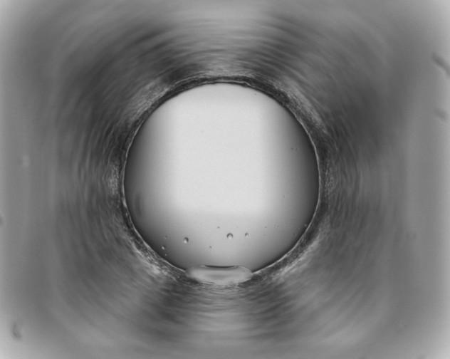 X0000096210833200802011319