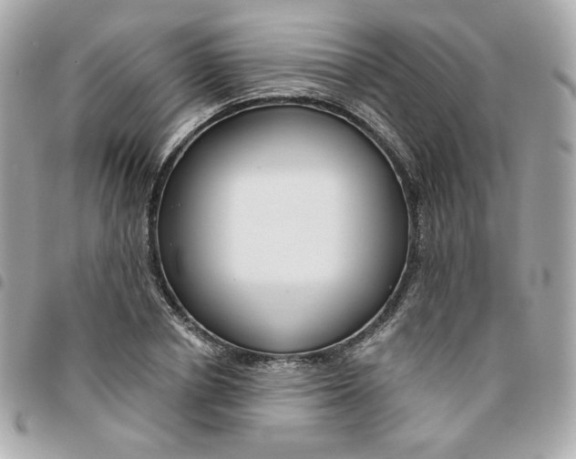 X0000096210834200802011319