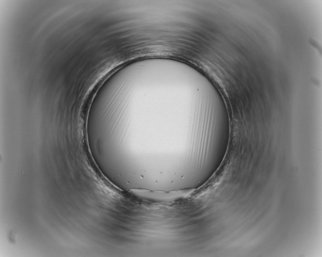 X0000096210835200802011319