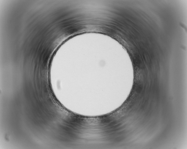 X0000096210836200802011319