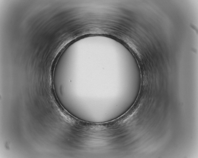 X0000096210837200802011319