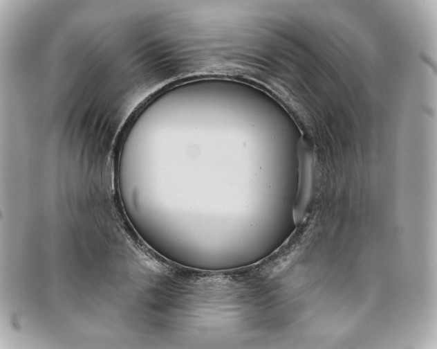 X0000096210838200802011319