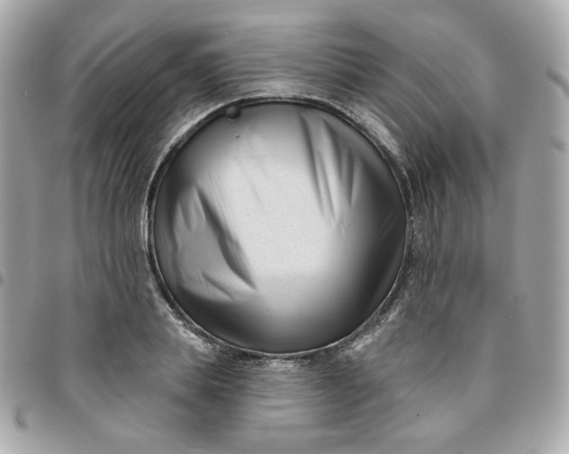 X0000096210839200802011319