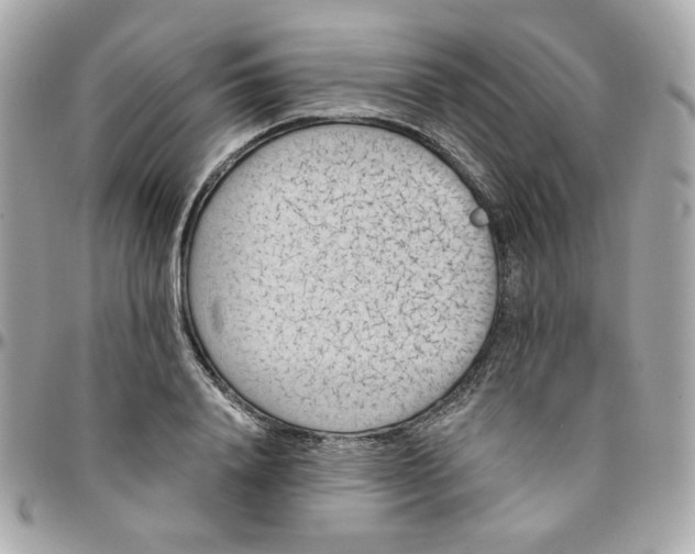 X0000096210840200802011319