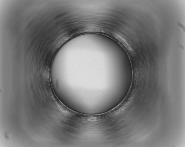 X0000096210841200802011319