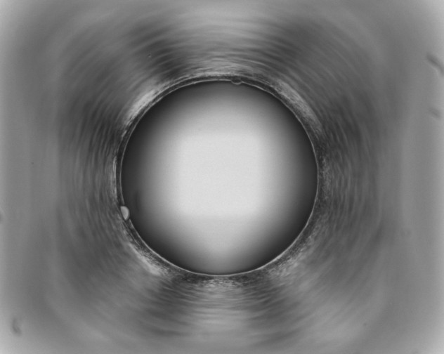 X0000096210842200802011319