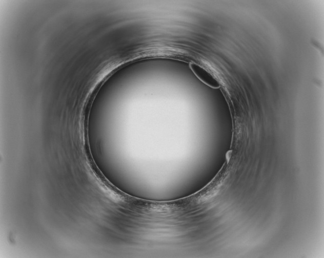 X0000096210843200802011319