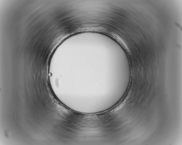 X0000096210844200802011319