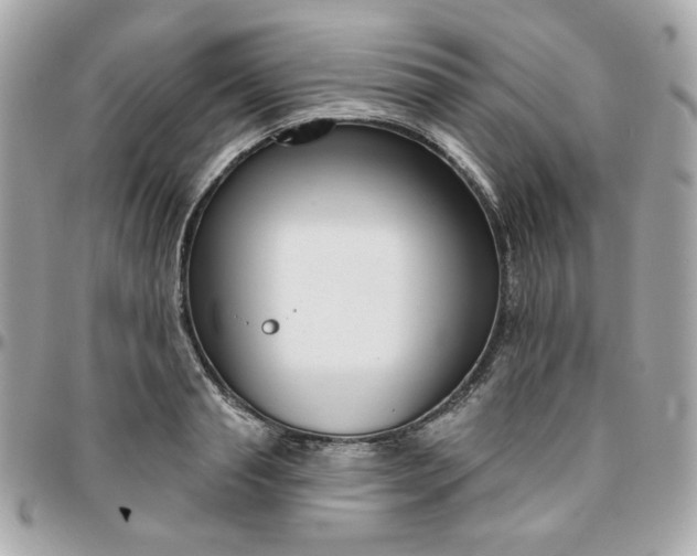 X0000096210845200802011319