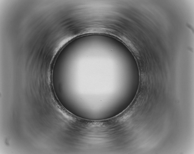 X0000096210846200802011319