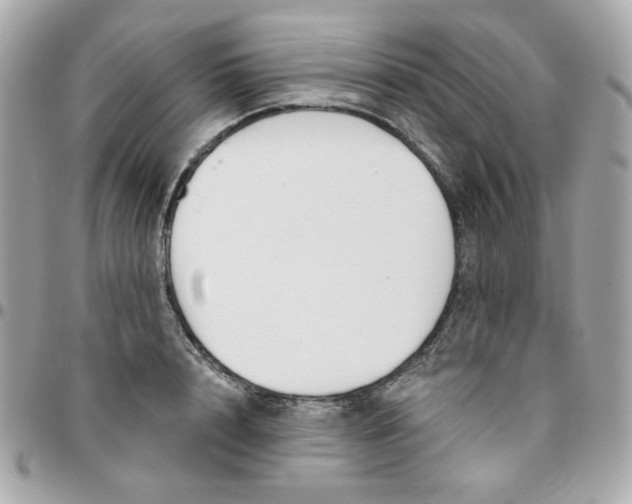 X0000096210848200802011319