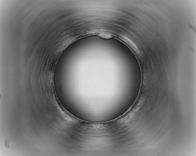 X0000096210849200802011319