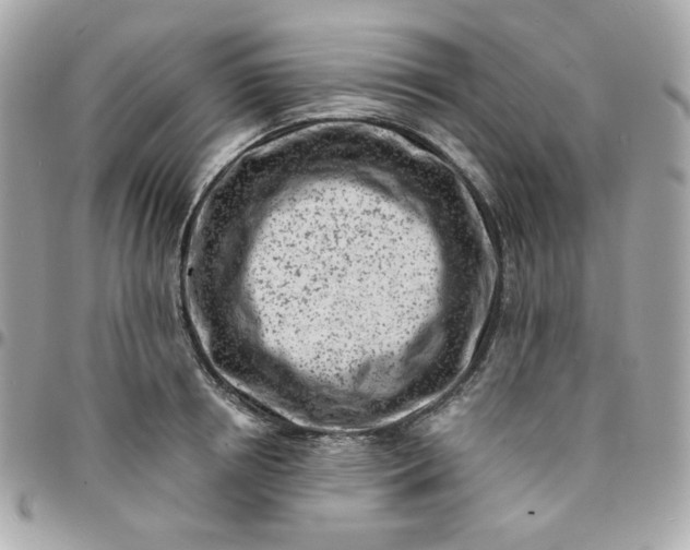 X0000096210850200802011319