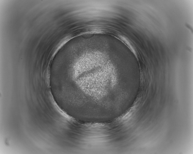 X0000096210851200802011319