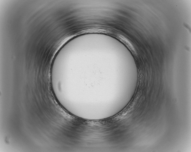 X0000096210852200802011319