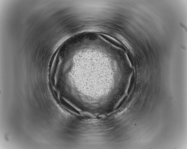 X0000096210853200802011320