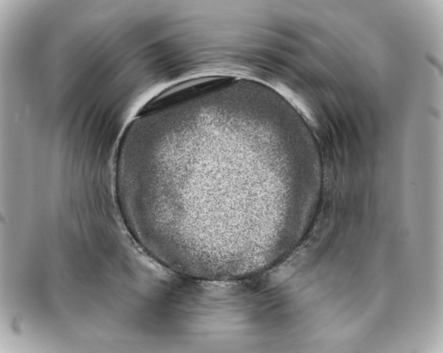 X0000096210854200802011320