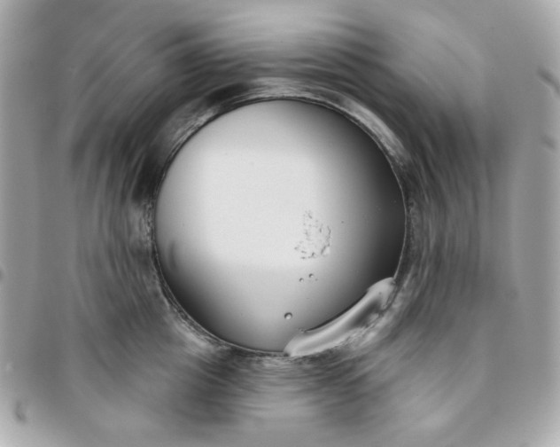 X0000096210857200802011320