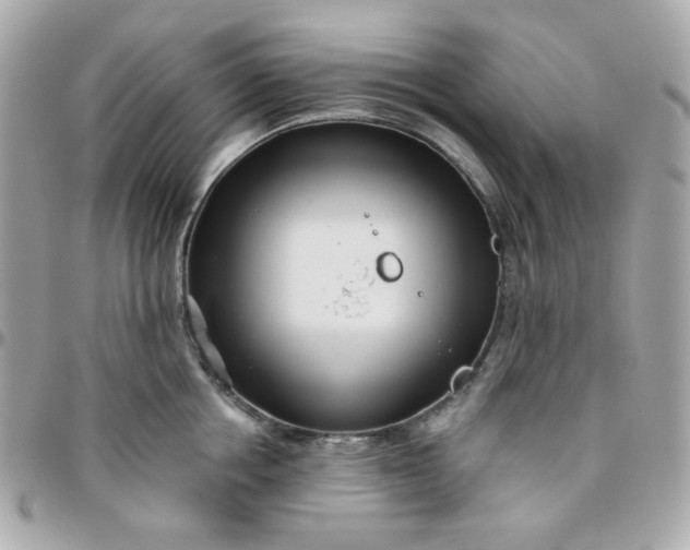 X0000096210858200802011320