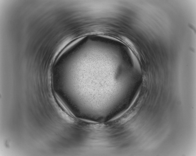 X0000096210859200802011320