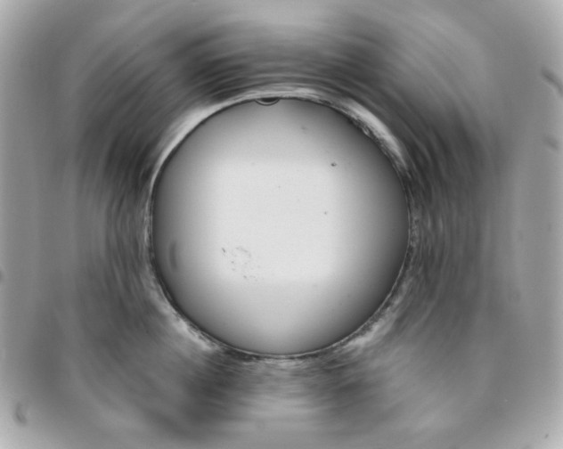 X0000096210860200802011320