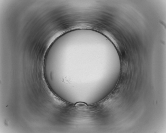 X0000096210861200802011320