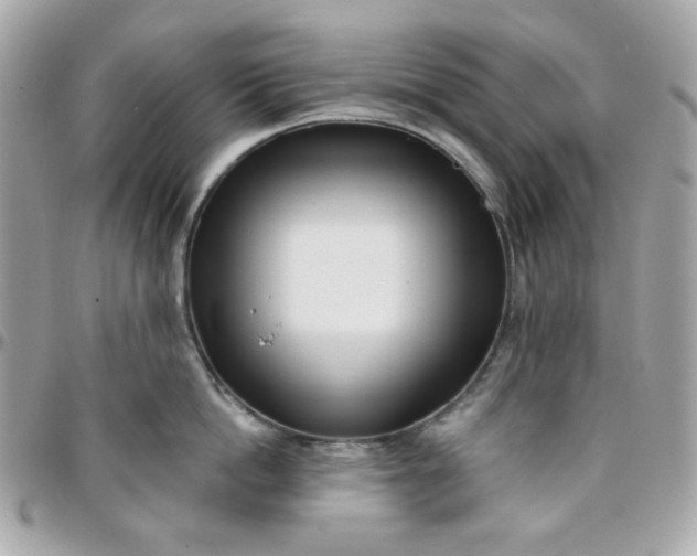 X0000096210862200802011320