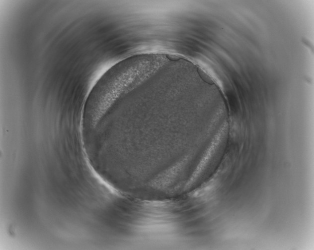 X0000096210863200802011320