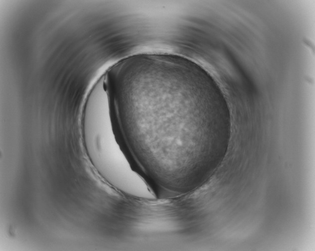 X0000096210864200802011320