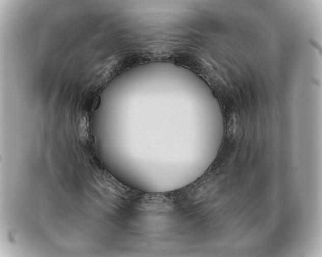 X0000096210866200802011319