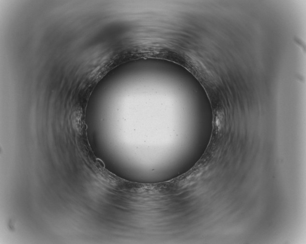 X0000096210867200802011319