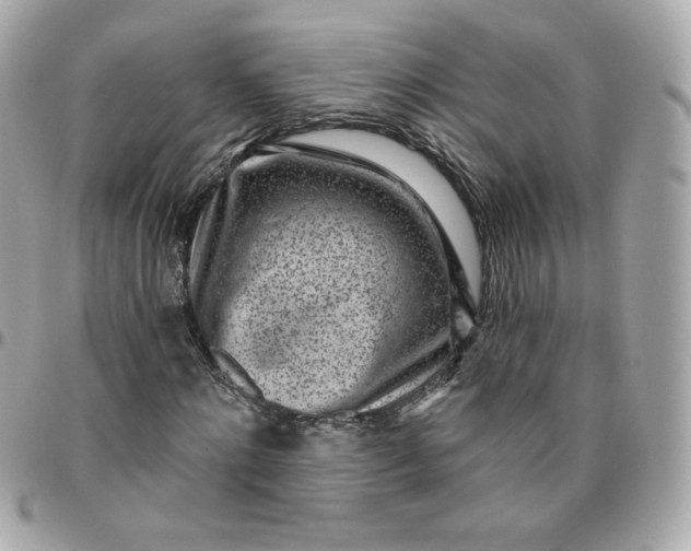 X0000096210868200802011319