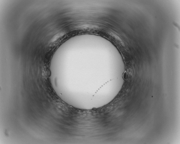 X0000096210869200802011319