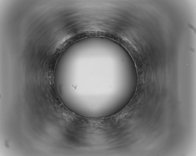 X0000096210870200802011319