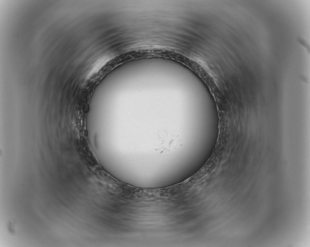 X0000096210871200802011319