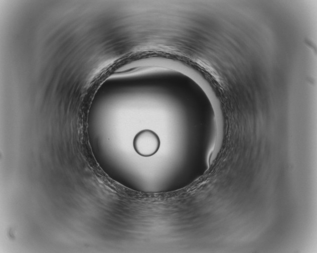 X0000096210872200802011319