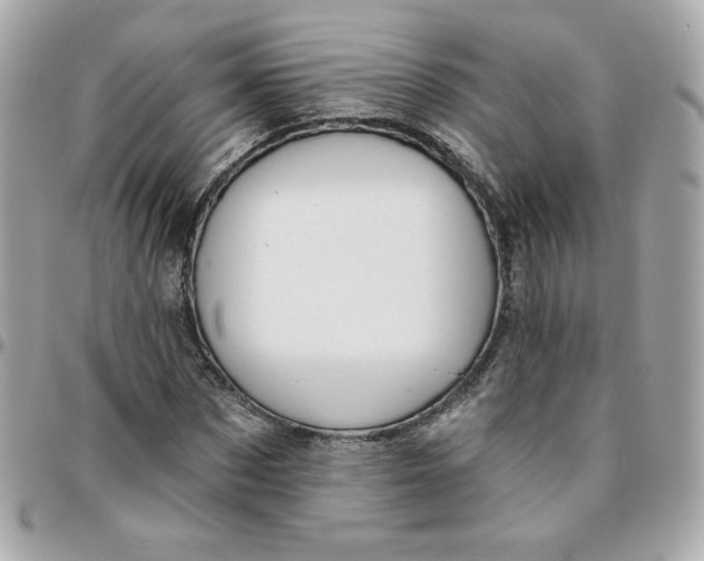 X0000096210873200802011319